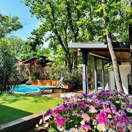 Pine-Wood Resort Balatonalmádi Zewnętrze zdjęcie