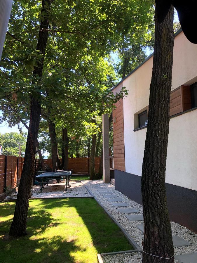 Pine-Wood Resort Balatonalmádi Zewnętrze zdjęcie