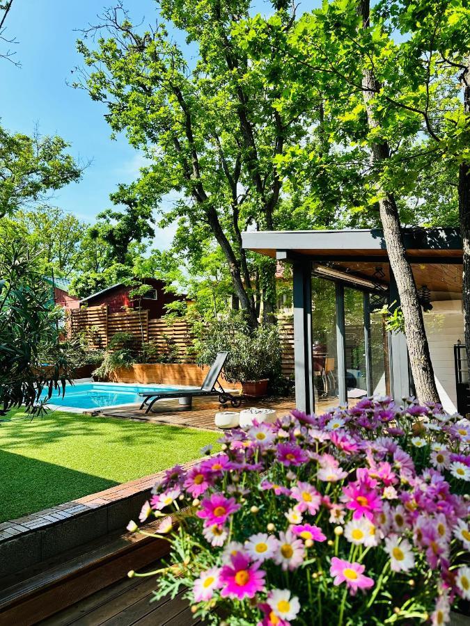 Pine-Wood Resort Balatonalmádi Zewnętrze zdjęcie